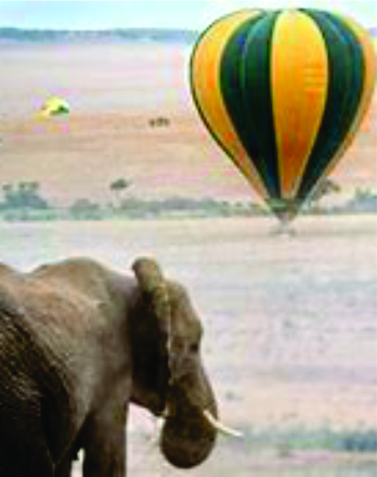 Balloon Safaris 🎈