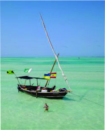Dhow trips